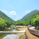 장령산자연휴양림 이미지