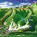 서초-현장-서초-20010 이미지