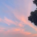 힐링 요가[오후] 이미지