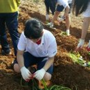 해성농장1 이미지