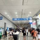 지에스25뮤비페24속초1점 | 2024.08.17 GS25 뮤비페 10주년 일산 킨텍스 후기 (음식 주문 꿀팁, 라인업, 물품보관, 준비물, 박재범)
