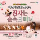 속초문화예술회관 이미지