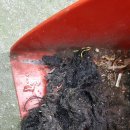 미리벌중앙로 이미지