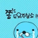 삼성영어교실