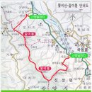 3월 16일(토) 광양 쫓비산산행+매화축제+산동 산수유축제.♡25,000원. 조.중식(찰밥.중:찬 지참)제공.37석 리무진운행 이미지