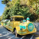 태종대 관광안내소 | 태종대 다누비열차 시간·코스·요금 총정리 I 부산 영도 당일치기 엄마랑 데이트