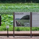 함안 대송리 늪지식물 이미지