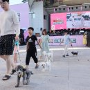 2023 청도 펫티켓 문화콘서트 이미지