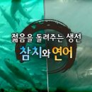 참치랑연어 이미지