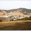 태봉농장1 Daum카페