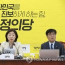 심상정 카카오 검색결과