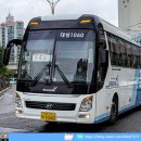 와이드대성 이미지