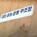 대마막걸리