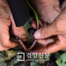 풀물