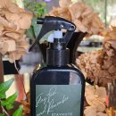 바람공간 | 스테이노트 숲바람 후기, 공간의 공기를 정리해주는 그린 우디 향