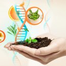 (주)다원약품 이미지