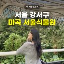 식물원사거리 | 마곡 서울식물원 겨울 실내 놀거리 온실 윈터가든 데이트 추천