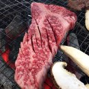 합천황토펜션숲 이미지