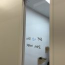 캣동산 | [광주운암동]캣동산 고양이호텔 찐만족 후기