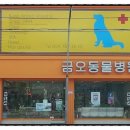 금오동물병원 이미지