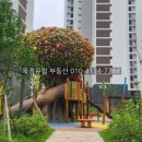 유림세탁소 이미지