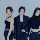 비비정지 이미지