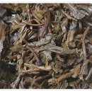 금    병 이미지