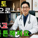 토마토 이렇게 먹어야 효과 3배! 절대 같이 먹지 마세요 이미지