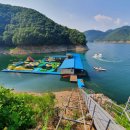 [충청북도 충주시] 게으른악어