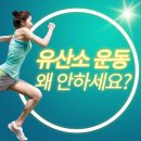 화성소방서 향남홈플러스(37903) | &lt;향남 PT&gt;공복 유산소 왜 안 하세요? 스테이 피트니스 향남점