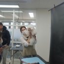 캔디학원