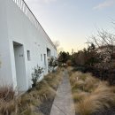 제주 246 | 제주 애월 감성 숙소 추천| 드렌도트 | 2/8번방 후기 | 이용 꿀팁★