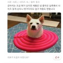 죽림치과의원 | [오늘일기] 21.09.24