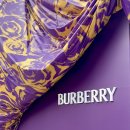 보랏빛향기 이미지