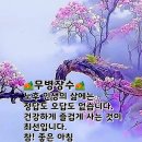 아침 편지 이미지