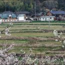 고향산촌 이미지