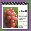 지.시온농장 이미지