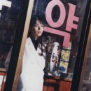 정글스토리