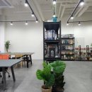 브레인푸딩 이미지