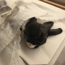 아리움 | 전주 아리움 이용후기 소동물 토끼 장례식 치르기