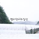 정미니하우스