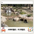 더에버 | 에버랜드 사파리월드 더 와일드 시간 가격 입장료 실제 후기