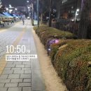 개강한 찌모의 개강 생활 1주차