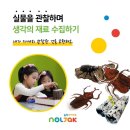 놀작채움미술학원