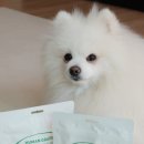 티어리베 이미지