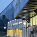 가온동물병원 | 천안 고양이 동물병원 추천 가온동물병원 - 고양이 설사 진료 후기