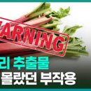 루바브 뿌리 루바브뿌리추출물 이미지