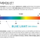 한빛안경랜드 이미지