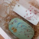 관음초등학교 이미지