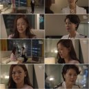 진희경 카카오 검색결과